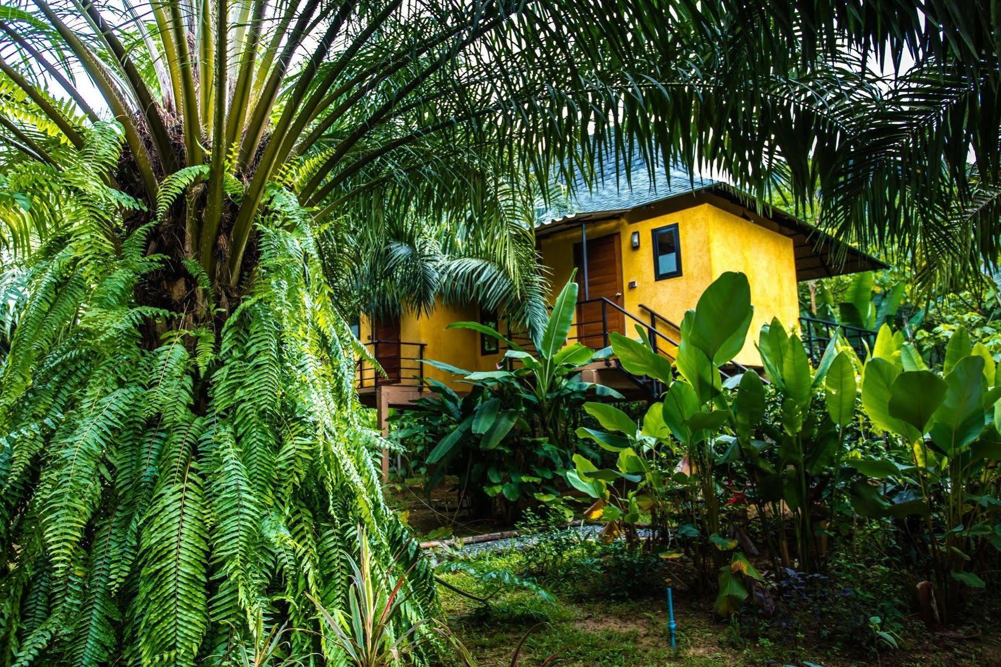 Anurak Community Lodge - Sha Plus Khao Sok National Park Luaran gambar