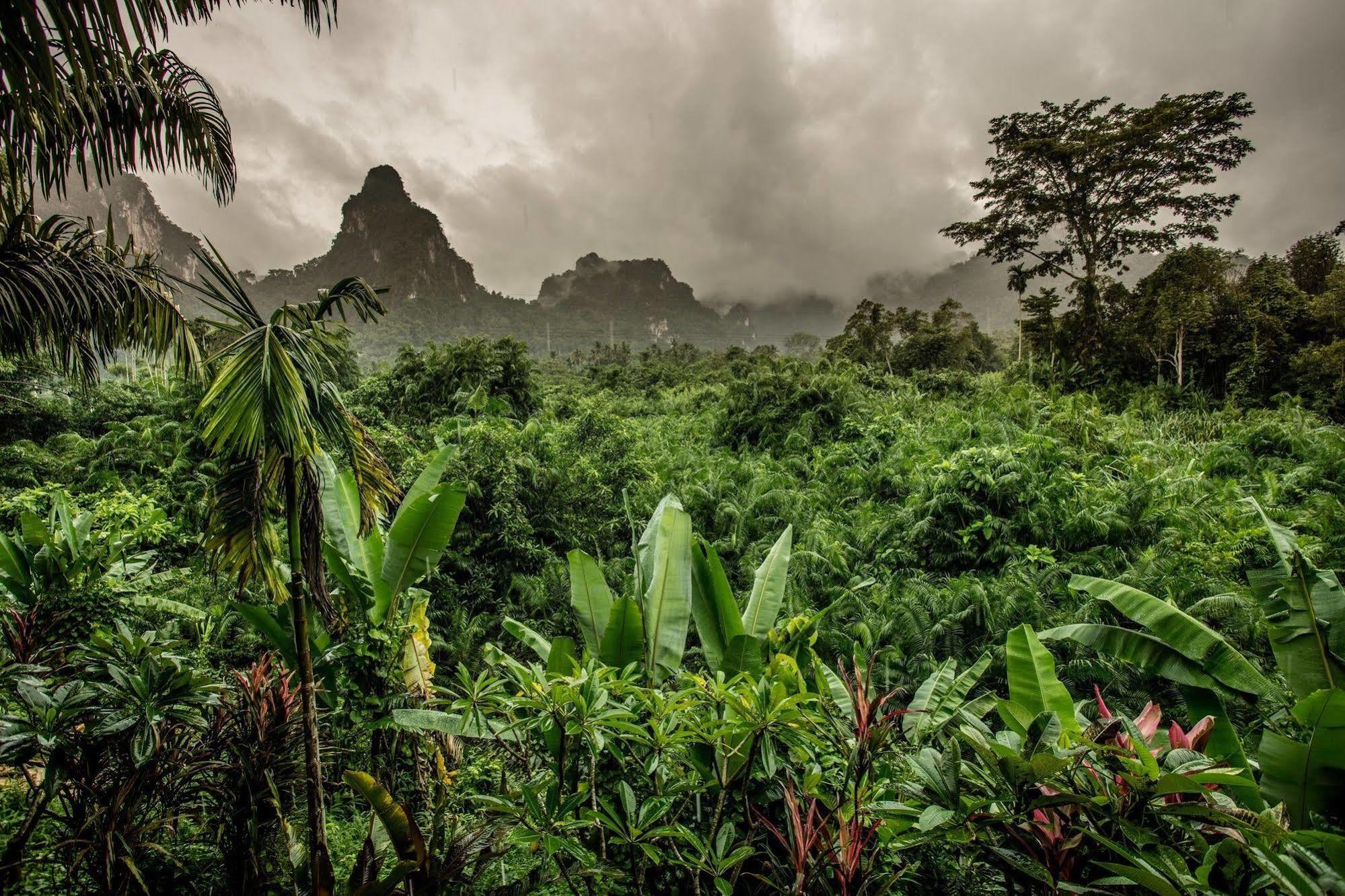Anurak Community Lodge - Sha Plus Khao Sok National Park Luaran gambar